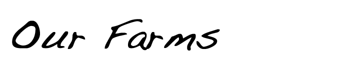 Stacks Image 17